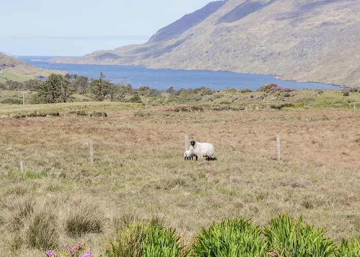 Clifftop Haven Renvyle